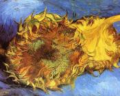 两朵剪下的向日葵 - 文森特·威廉·梵高